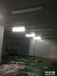 金山石化區食品廠專業凈化工程 彩鋼巖棉板隔斷、車間隔墻與工裝裝修一體化解決方案